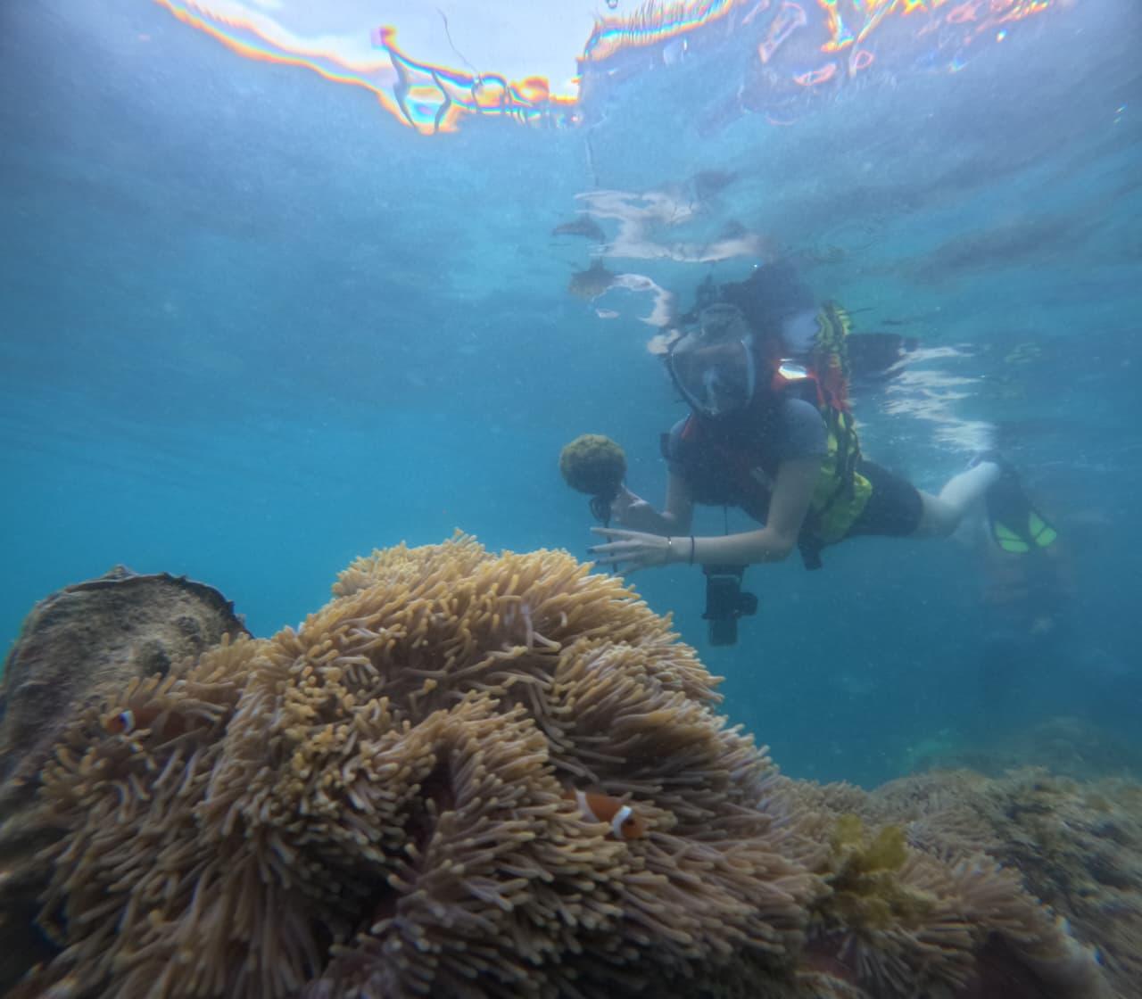 Bintan Snorkeling & Kayaking & Fishing Private Tour - Lagoi Hotel Pickup Included