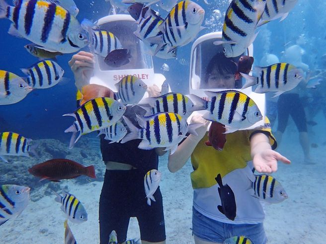 ボラカイ島 アクアノート ヘルメットダイビング体験 写真・動画付き