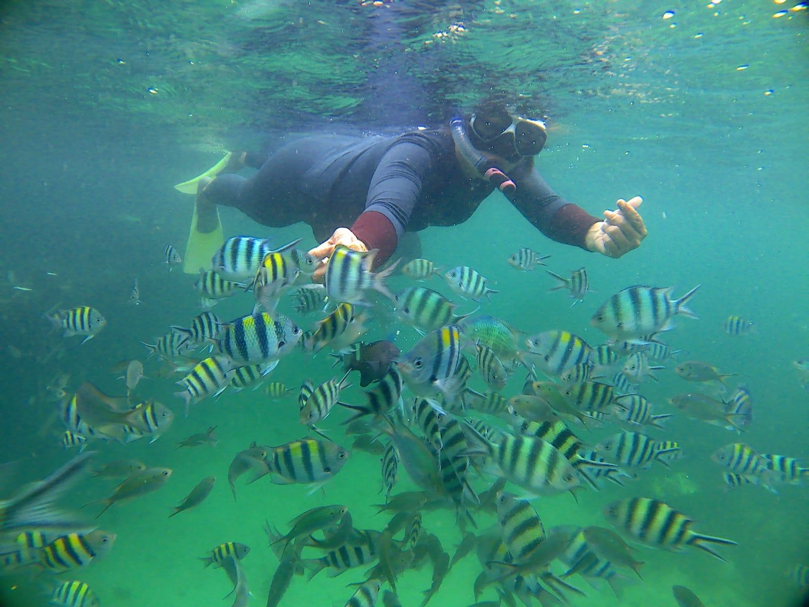 Bintan Snorkeling Kayaking and Fishing Tour - Resort Area Hotel Pickup