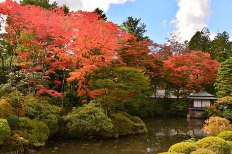 日光山輪王寺 宝物殿・逍遥園 拝観券