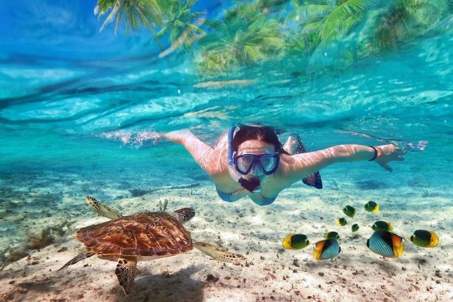 Bali Blue Lagoon Snorkeling Tour (Lunch Included)