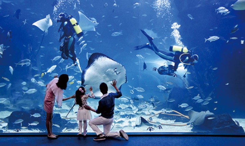Gyeonggi Goyang Aqua Planet Ilsan Admission Ticket