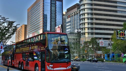 Seoul City Tour Bus Night View Course Ticket