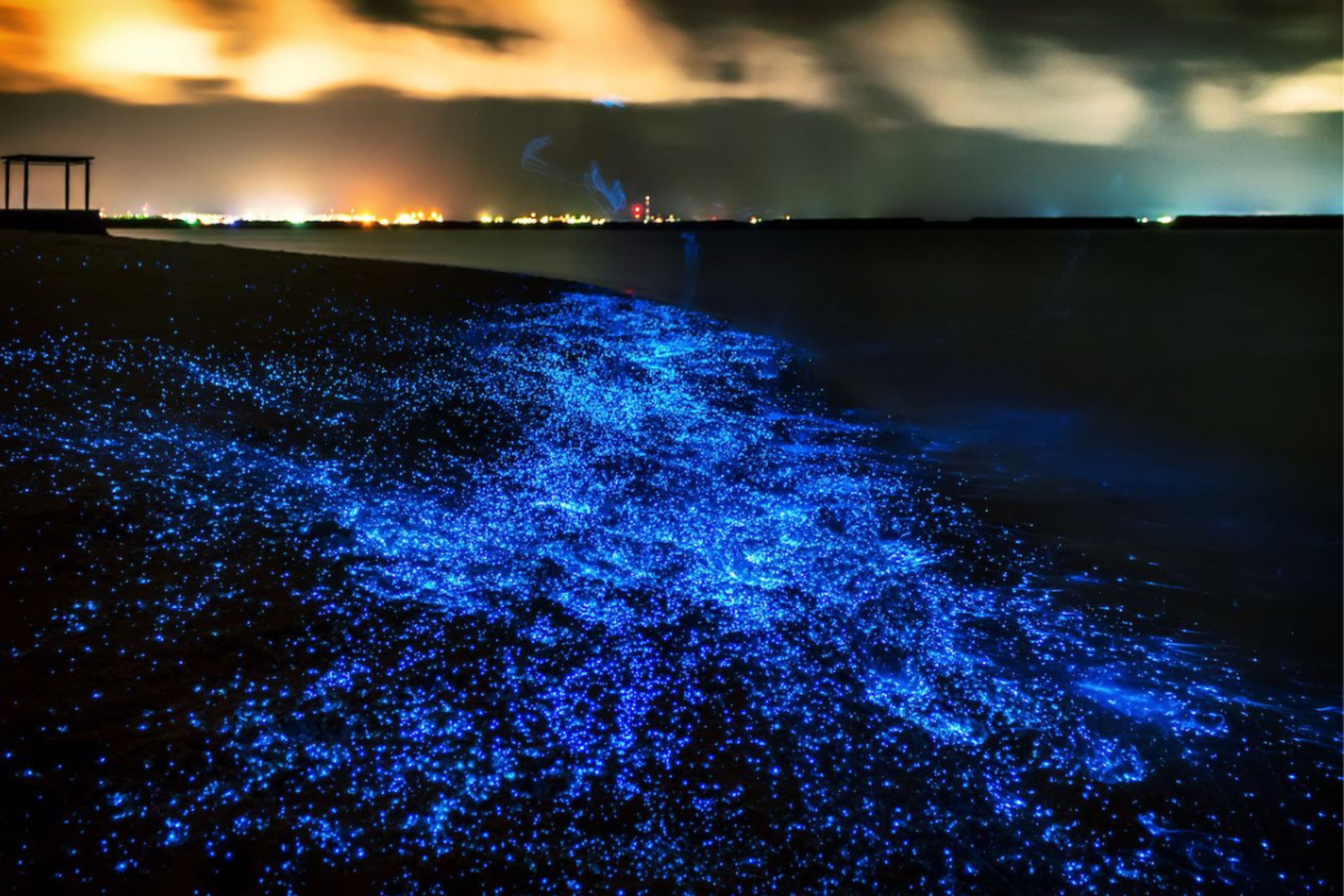 プーケット発：パンガー湾 夜光プランクトン＆シーカヌー スピードボートツアー - ジェームズ・ボンド島・ホテル往復送迎