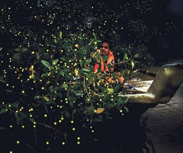 activity_detail_image