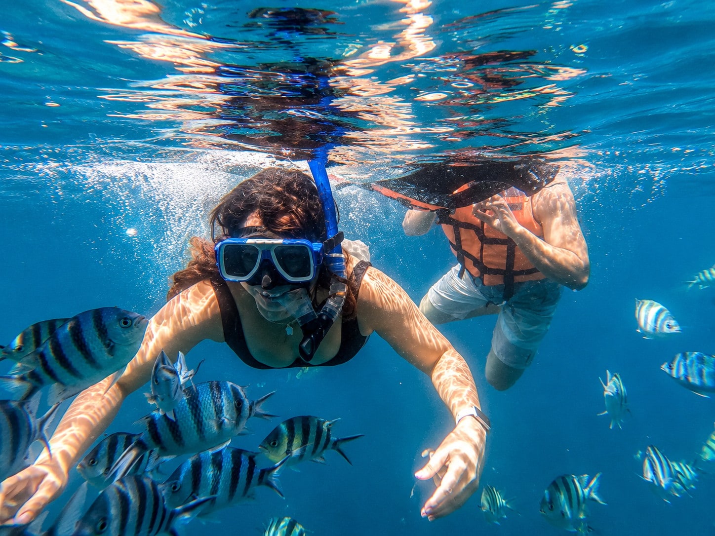 Port Barton Island Hopping Tour: Sea Turtle & Reef Snorkeling with Island Lunch