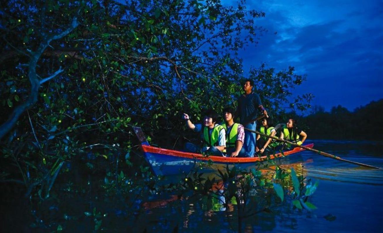 From Kuala Lumpur: City Tour, Batu Caves & Fireflies Day Trip with Seafood Dinner