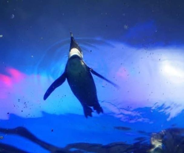 review_image