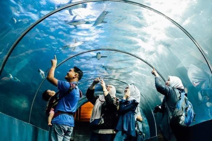 Langkawi Underwater World Aquarium Admission Ticket