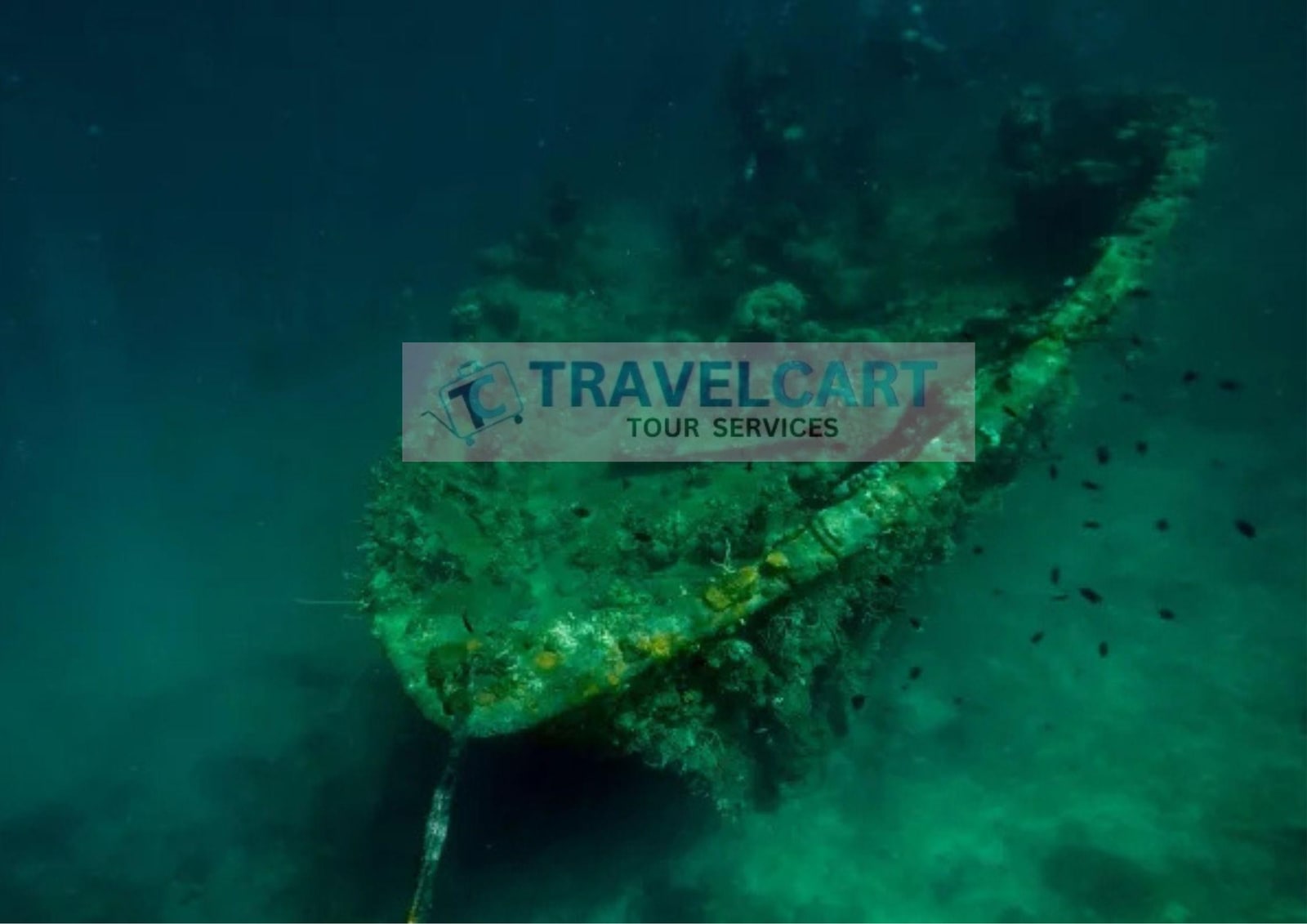Coron Reef & Shipwreck Island Hopping Tour from Coron - Snorkeling & Lunch Buffet