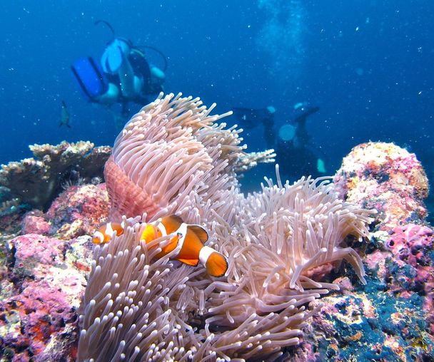 activity_detail_image