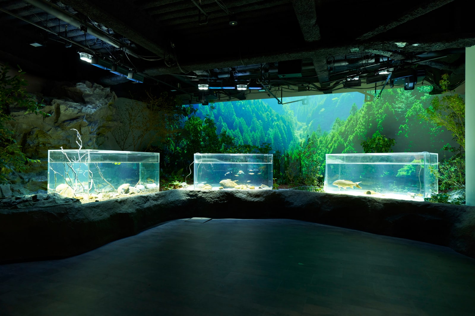 Kawasaki Kawasui Aquarium Admission Ticket
