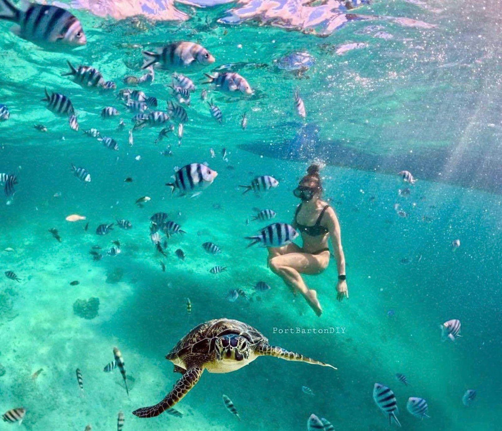 Palawan Port Barton Island Hopping Tour - Sea Turtle Snorkeling & Island Picnic Lunch