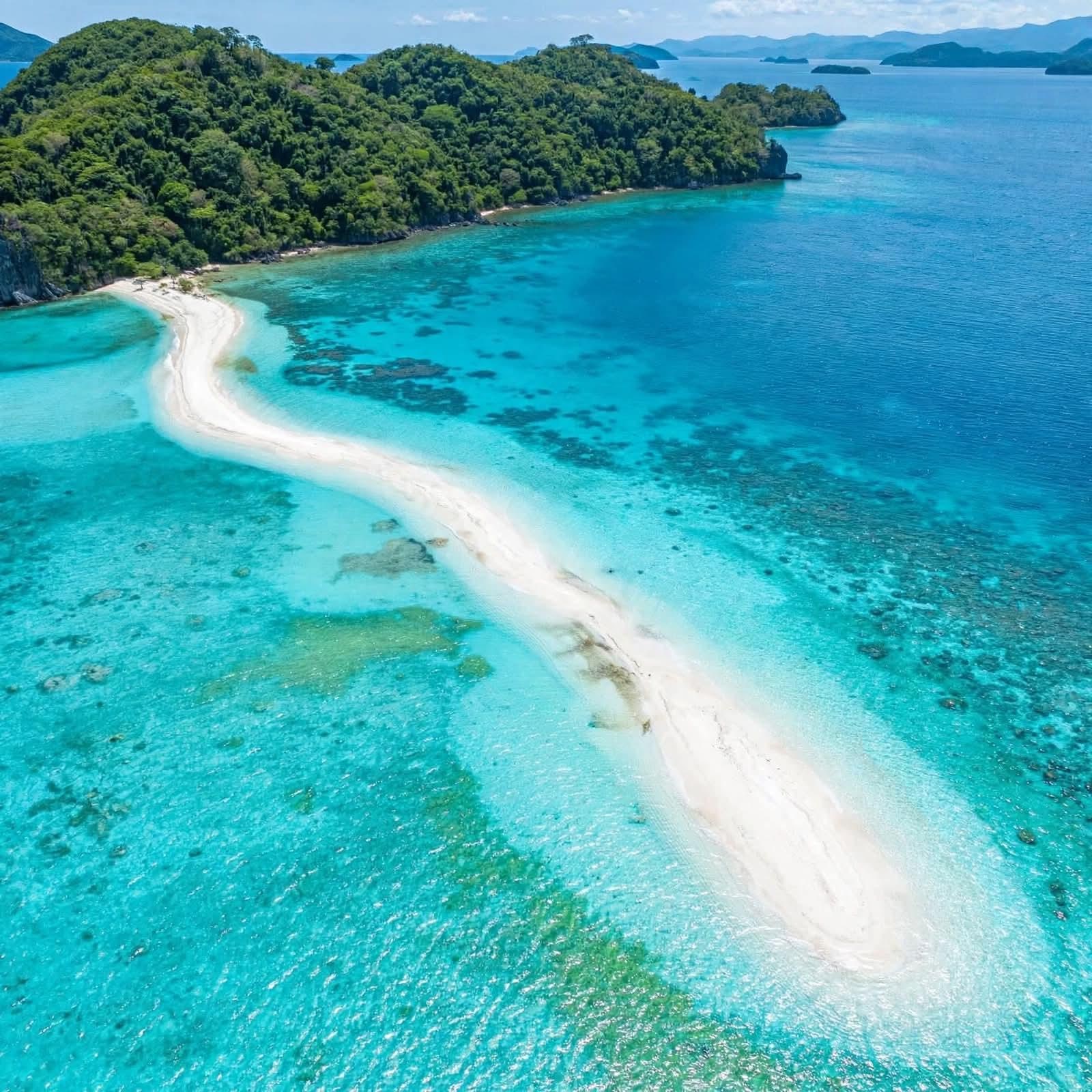 Coron Island Hopping Tour: Malcapuya, Coco Beach & Ditaytayan - Snorkeling & Picnic Lunch