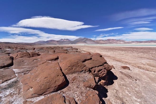 From San Pedro de Atacama: Piedras Rojas & Altiplanic Lagoons Small-Group Tour