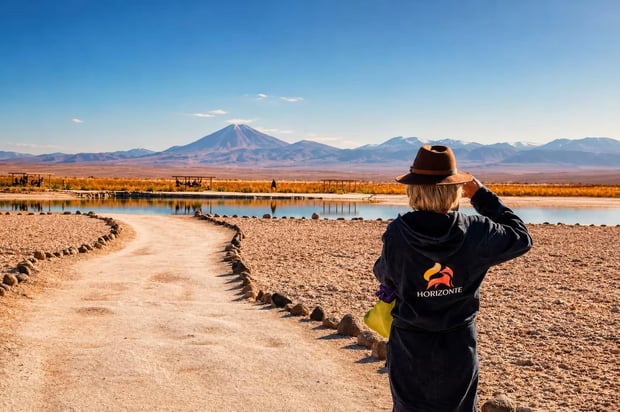 From San Pedro de Atacama: Laguna Cejar, Ojos del Salar & Tebenquiche Tour