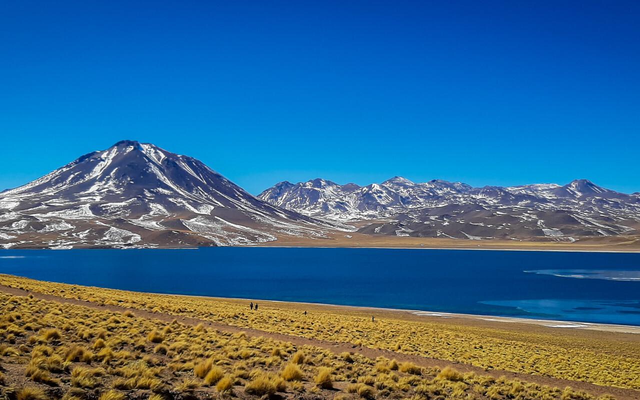 San Pedro de Atacama Tour to Red Stones and Altiplanic and Chaxa Lagoons with Breakfast