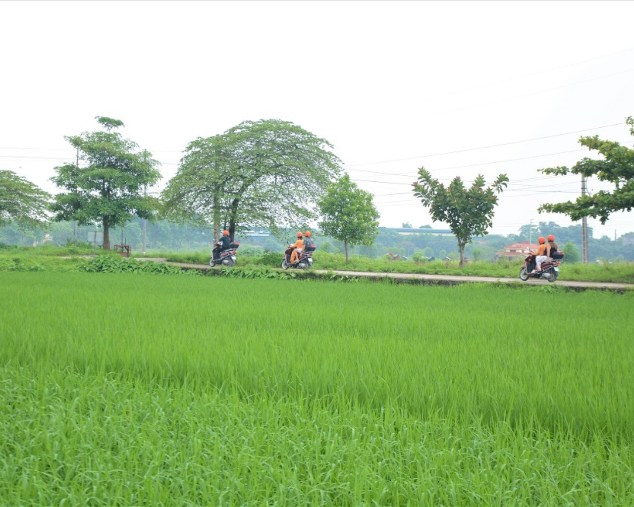 Hanoi Countryside Motorbike Tour - Co Loa Citadel, Rice Fields & Local Home Visit