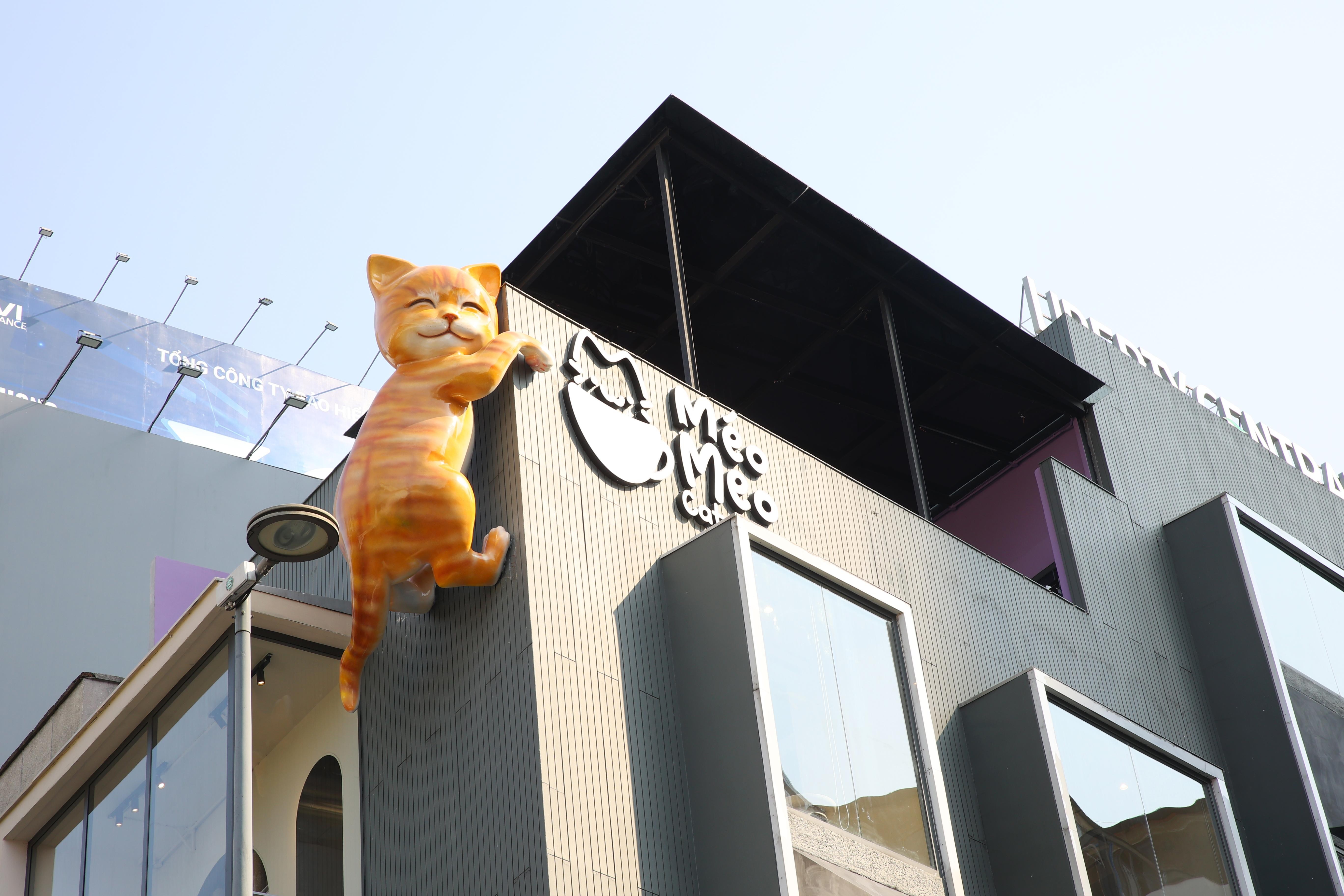 ホーチミン ベンタイン市場 メオメオ猫カフェ入場券