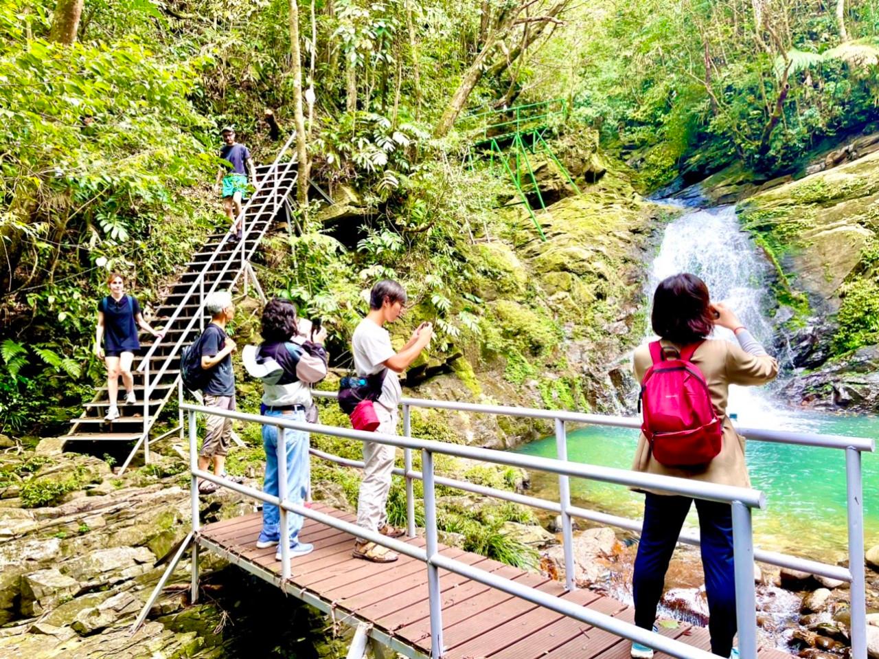 From Hue: Bach Ma Summit & Do Quyen Waterfall Trekking Day Tour with Hotel Pickup