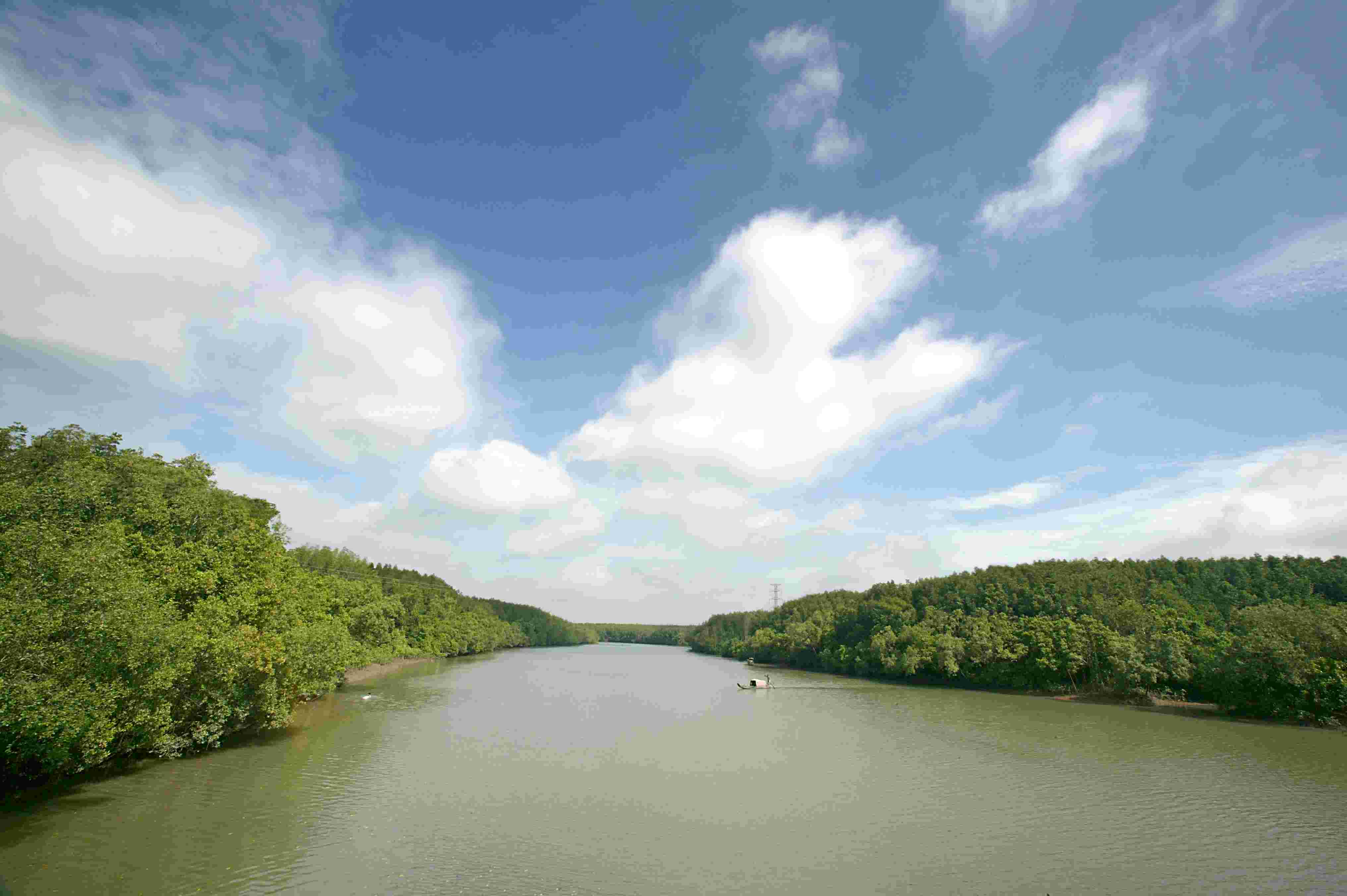 From Ho Chi Minh City: Can Gio Vam Sat Eco Park Day Tour - Bat Sanctuary & Crocodile Swamp