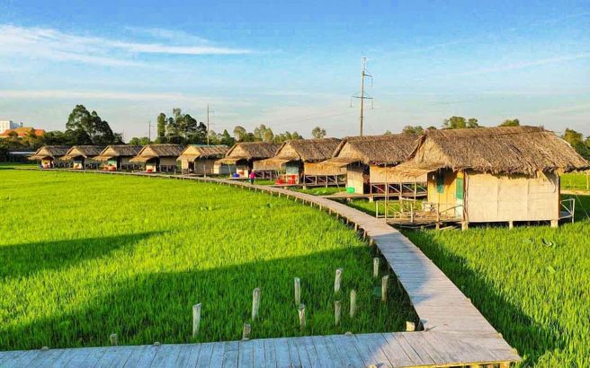 From Ho Chi Minh City: Dong Thap Mekong Delta Xeo Quyt Boat Day Tour - Lunch Included