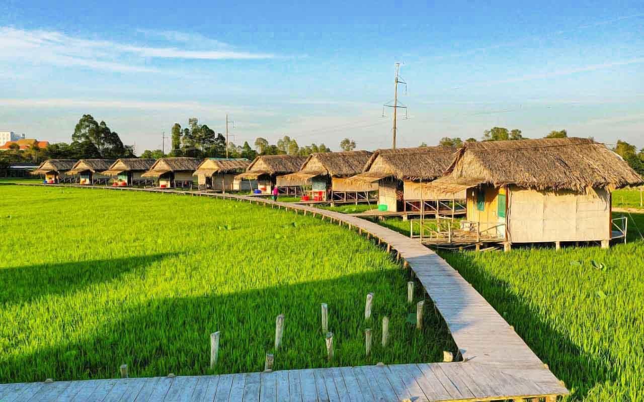 From Ho Chi Minh City: Dong Thap Mekong Delta Xeo Quyt Boat Day Tour - Lunch Included