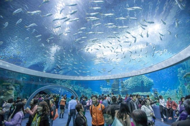 Nha Trang Po Nagar Towers, Oceanographic Museum & Cathedral Half-Day City Tour with Lunch