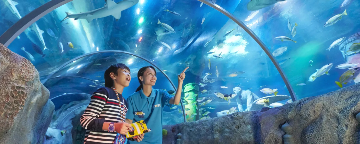 Nagoya SEA LIFE Aquarium Ticket