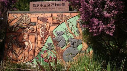 activity_detail_image