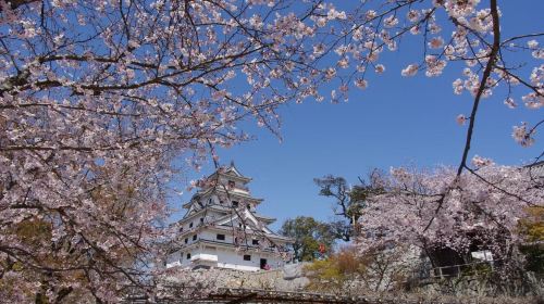 Saga Karatsu Castle Main Keep 9:00 AM Viewing Ticket
