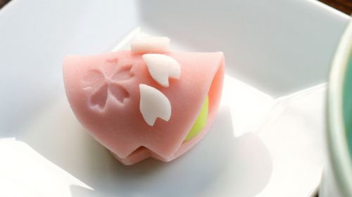 도쿄 시부야 야마타네 미술관 일본화 전시 입장권