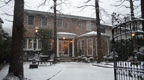 review_image