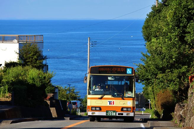 Izu-Kogen & Jogasaki Tokai Bus 1-Day Free Pass