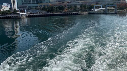 activity_detail_image