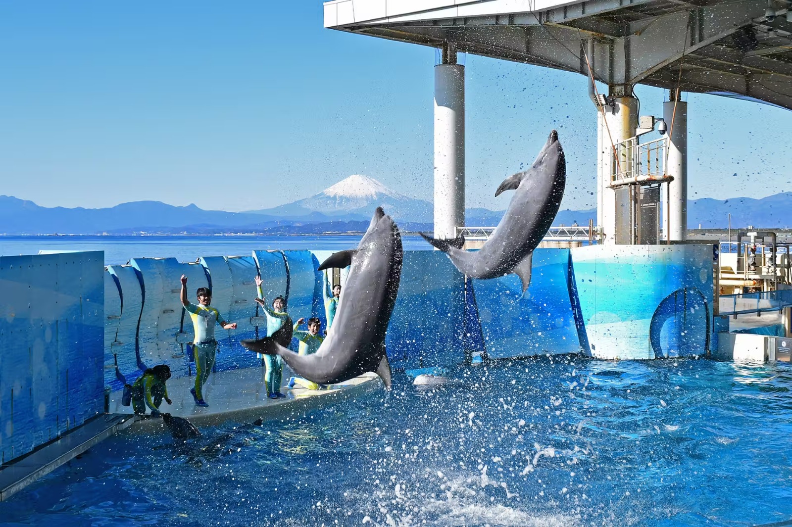 Kanagawa Fujisawa Enoshima Aquarium Ticket & Enoshima All-Pass
