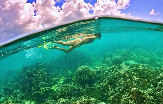 フーコック アントイ諸島 サンゴ礁シュノーケリング プライベートスピードボートツアー