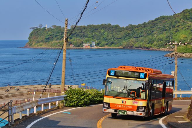 Ito & Izu-Kogen Tokai Bus 2-Day Free Pass