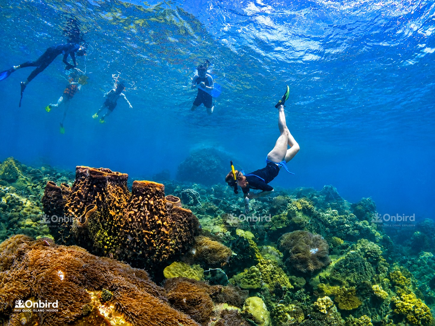 Phu Quoc Southern Islands Speedboat Snorkeling Tour at 2 Coral Reefs with Underwater Photos