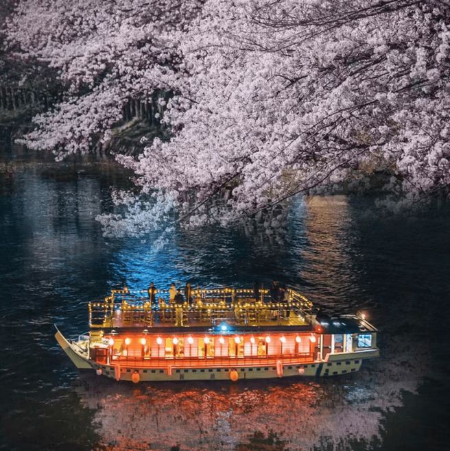 도쿄 스미다강 벚꽃 크루즈 - 야카타부네 & 일본 요리