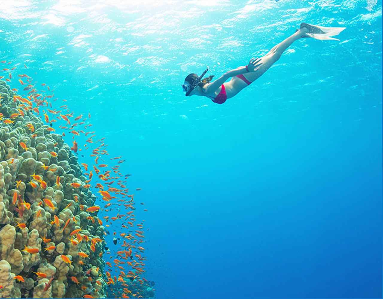 Phu Quoc Kim Quy & Coconut Island Speedboat Snorkeling & Island Hopping Tour