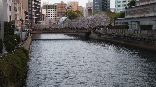 Fukuoka Naka River Nakasu Cruise Ticket