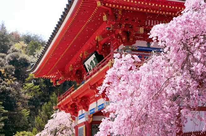 大阪 勝尾寺入山券+Osaka Metro 1日パス