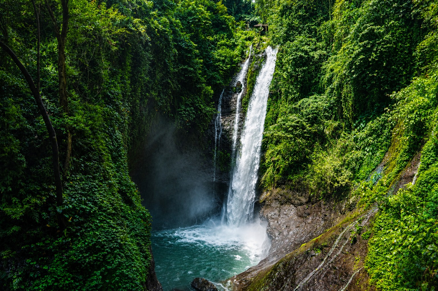 Bali Lovina Dolphin Swim & Snorkeling and Aling-Aling Waterfall Cliff Jump Tour with Hotel Pickup