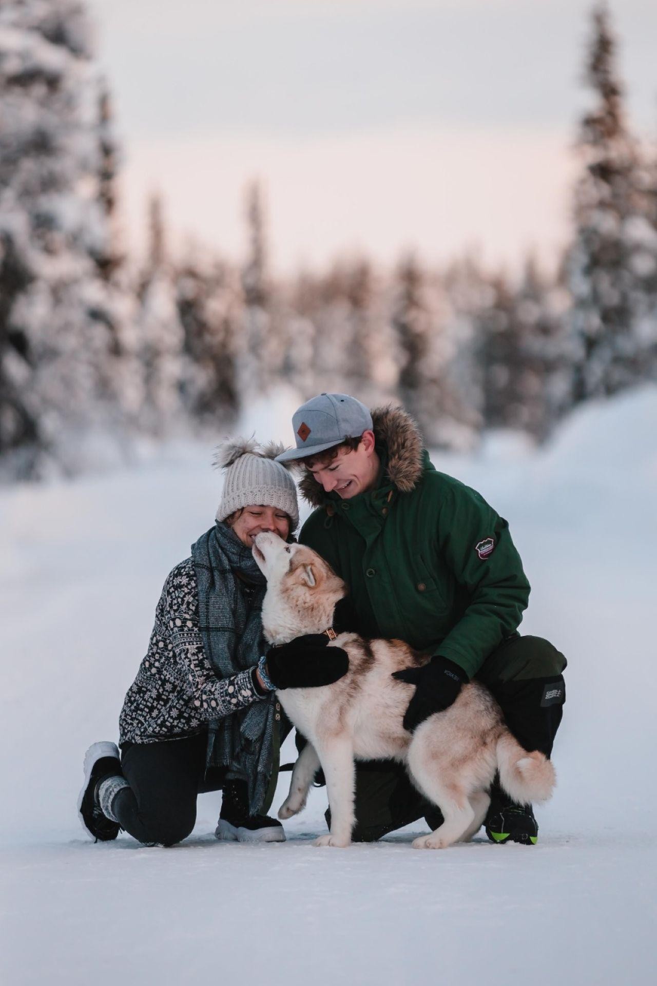 Levi Self-Drive 2 km Husky Sledding Experience