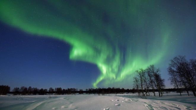Levi Northern Lights Hunting Tour by Snowmobile Sled