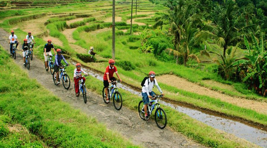Bali Mount Batur Sunrise Jeep & Ubud Cycling Tour