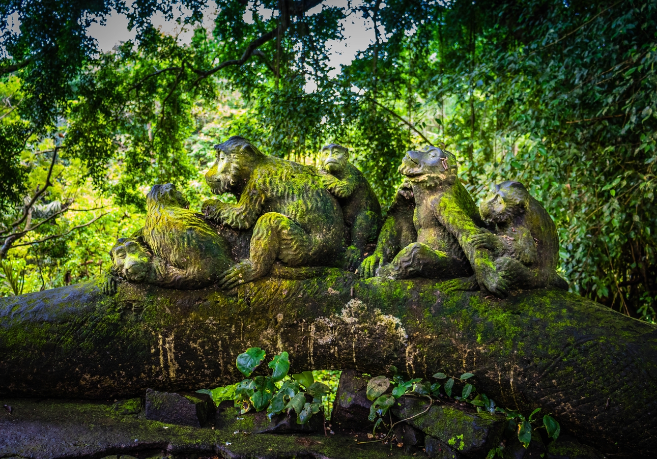 Bali Ubud Monkey Forest Private Car Tour with Hotel Pickup