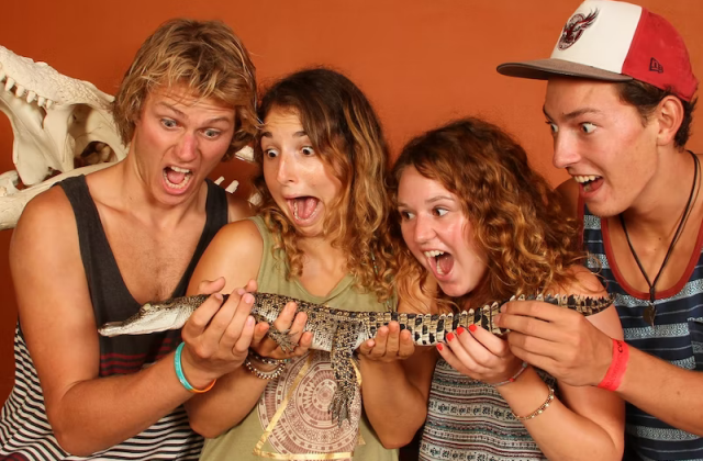 이미지