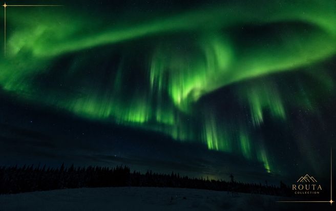 Levi Arctic Night Northern Lights Hunting Tour